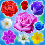 Blossom Crush Paradise 2 icon