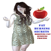 Fat Burning Secret icon