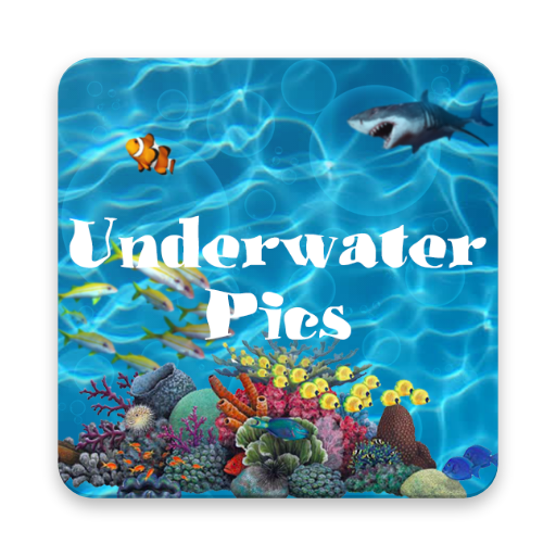 صور تحت الماء: آثار المياه الصورة أيقونة