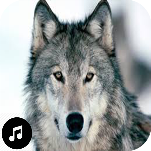 Wolf Sounds Ringtones icon