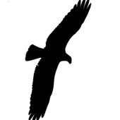 CONNECT VPN on 9Apps