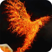 Magic bird Live Wallpaper icon