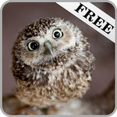 Sounds of animals 3 icon