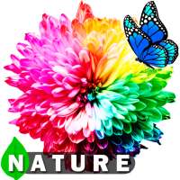 Nature Live Wallpapers | HD 4K on 9Apps