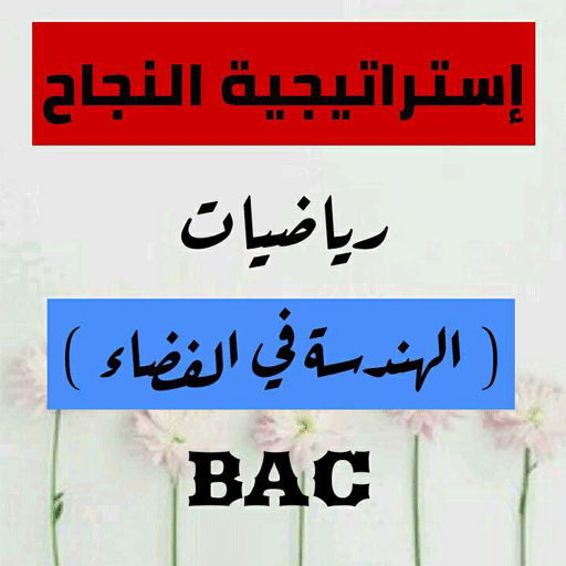 إستراتيجية النجاح في الهندسة في الفضاء BAC иконка