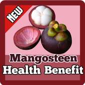 Mangosteen Health Benefits on 9Apps