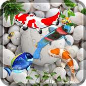 Fish Live 3D Wallpaper 2018 : Dynamic Aquarium Koi on 9Apps