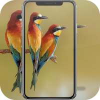 Beautiful Bird Wallpaper on 9Apps