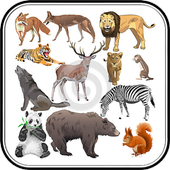 Animal Sound for Kids icon