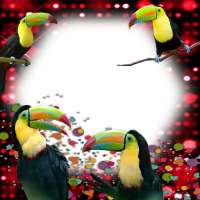 Birds Photo Frames on 9Apps