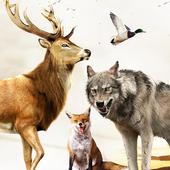 Jungle Sniper Hunting 3D 2016 icon