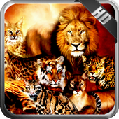Big Cats Wallpaper icon
