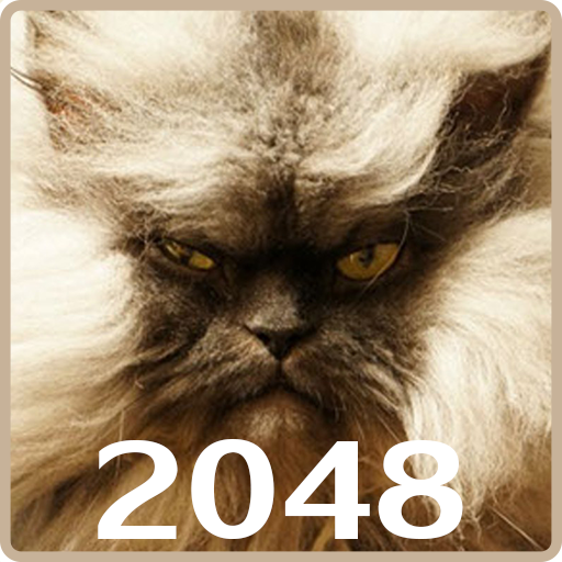 20 48 Cats Puzzle icon