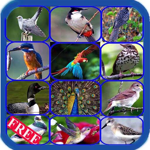 Sweet Bird Sounds Real icon