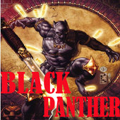 Wallpaper HD Black Panther icon