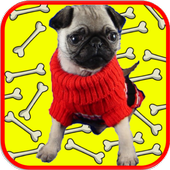 Cómo entrenar a tu perro 2 أيقونة