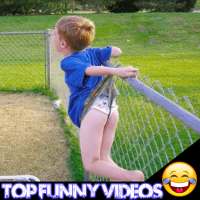 Funny Videos: Top Funniest Videos