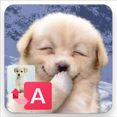 Translator for Dogs icon