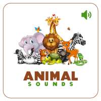 Animal Sounds - For Kids