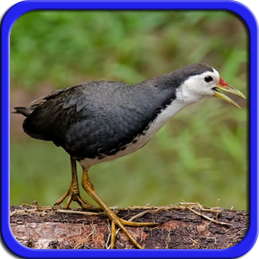 Pikatan Ruak Ruak Mp3 Terbaru Offline icon