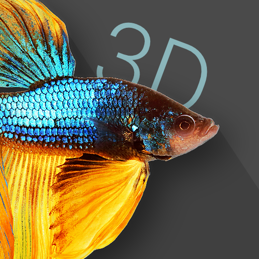 Betta Fish 3D -  3D Live Wallpaper icon
