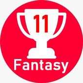 Fantasy Teams- Tips for Dream 11 & D11