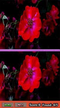 Find What's Different Games screenshot 2