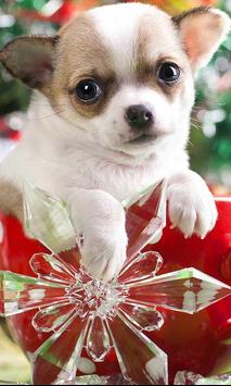 Christmas Dog live wallpaper screenshot 1