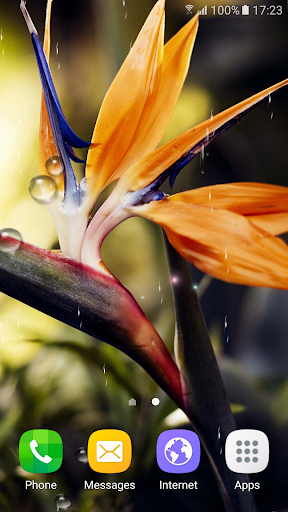 Tropical Flower Live Wallpaper screenshot 4