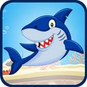 Angry Cute Shark Evolution