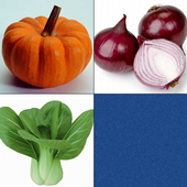 Vegetable Match Memory Train icon