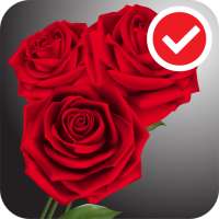 Rose Free Live Wallpaper