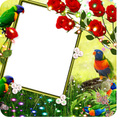 Rainbow Insta DP FREE PHOTO FARME icon