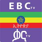 Ethiopian Tv
