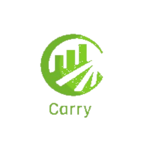 Carry Driver icon