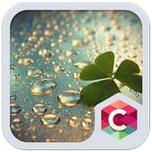 Golden Water Drops Theme HD on 9Apps