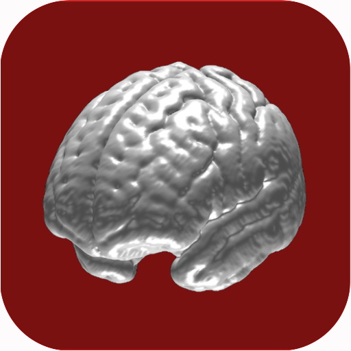 N-Back Memory Training icon