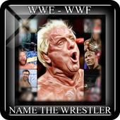 WWE - WWF - Name The Wrestler icon