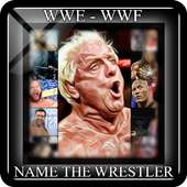 WWE - WWF - Name The Wrestler