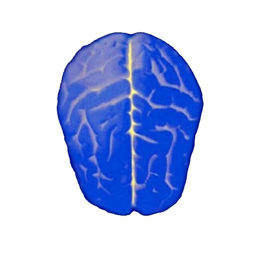 तार्किक परीक्षण - IQ आइकन