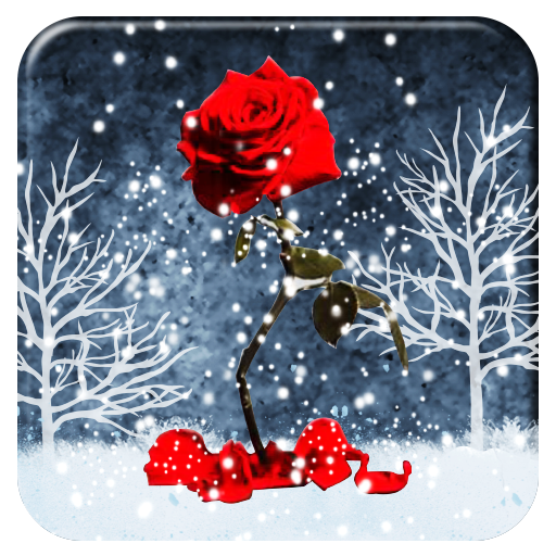 Red Rose Heart APUS Live Wallpaper icon