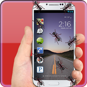 Ants In Phone icon