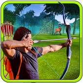 Archery Animals Hunting 3D