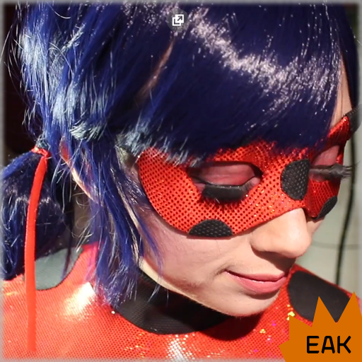 Ladybag Puzzle - for Everyone icon