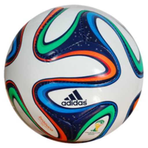 Michigan Football icon