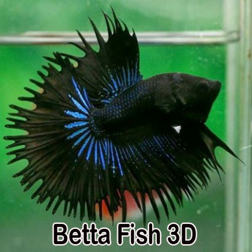 Betta Fish 3D icon