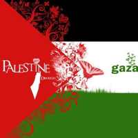 Palestine MUSIC Radio