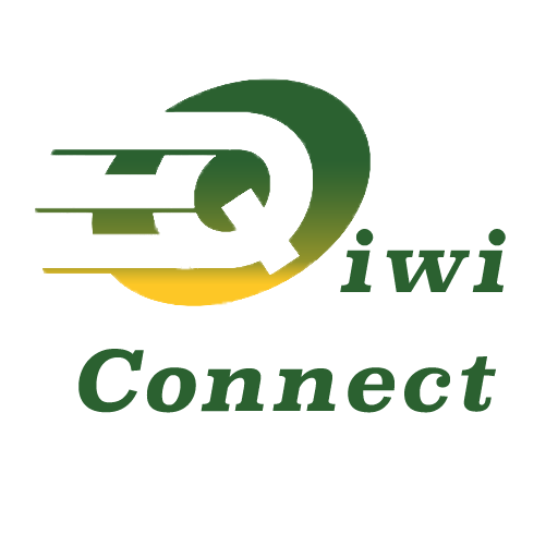 Qiwi Connect icon