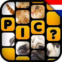 What's the Pic? - Nederlands