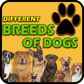 Different Breeds of Dogs icon